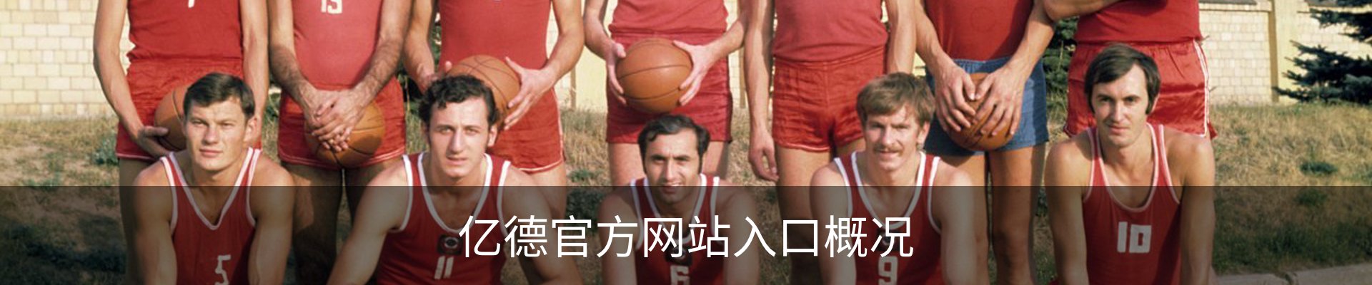 亿德官方网站入口概况